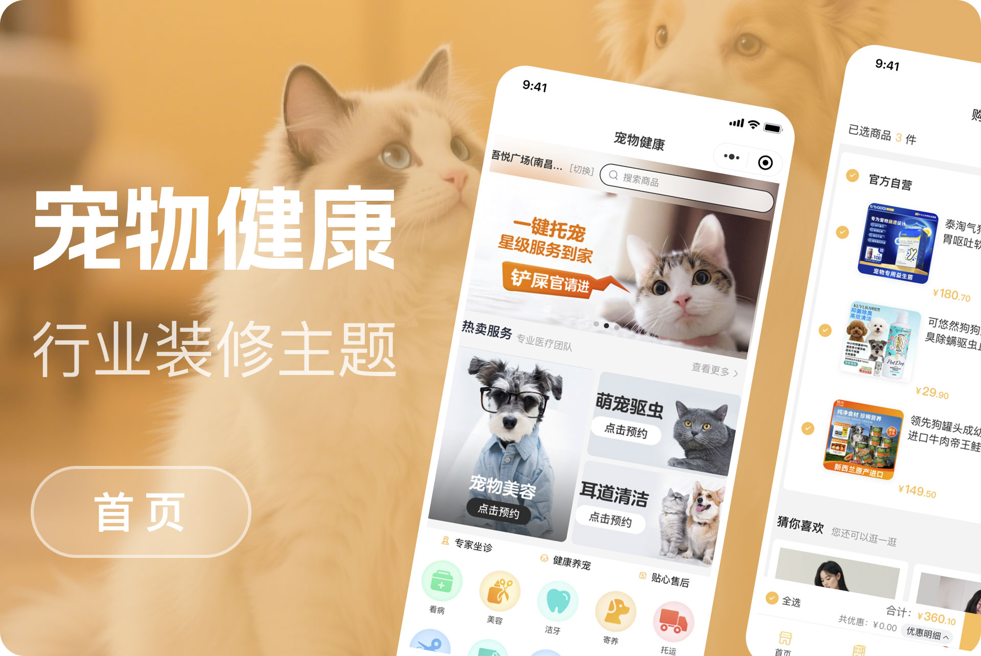 宠物健康行业模版