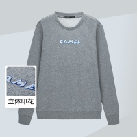 【字母印花】春印花卫衣字母刺绣圆领长袖上衣男士卫衣